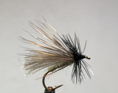 Early Black & Brown Stonefly