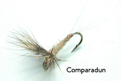 Quill Gordon (Epeorus pleuralis)