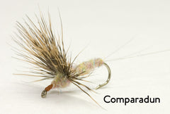 Isonychia bicolor - Slate Drake