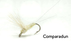 Olive Sulphur (Heptagenia hebe)