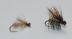 Charcoal Caddis