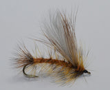 Salmon Fly / Giant Black Stonefly