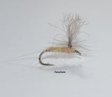 Blue Quill (Paraleptophlebia adoptiva)