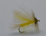 Golden Stonefly