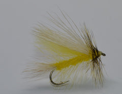 Golden Stonefly