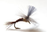 Dark Hendrickson (Ephemerella subvaria male)