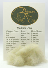 Medium Olive Spectrumized Dubbing