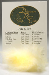Pale Yellow Spectrumized Dubbing