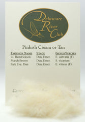 Pinkish Cream or Tan Spectrumized Dubbing