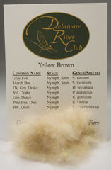 Yellow Brown Spectrumized Dubbing