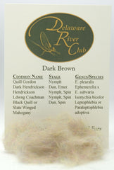 Dark Brown Spectrumized Dubbing