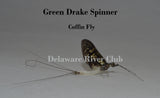 Green Drake (Ephemera guttulata)