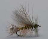 Brown / Olive Stonefly