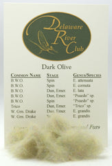 Dark Olive Dubbing