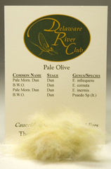 Pale Olive Dubbing