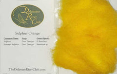 Sulphur Orange Dubbing - New color 2020